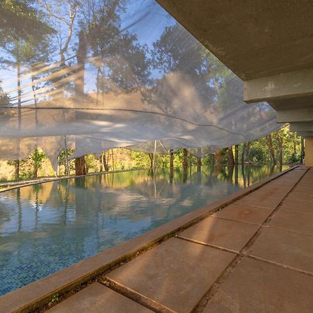 Q Swarga Retreat Hotel Attigundi Bagian luar foto